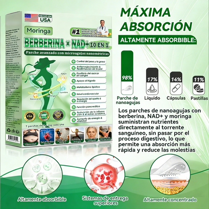 🧑‍⚕️🩺 Moringa · Berberine × NAD+ 𝟏𝟎-𝐢𝐧-𝟏 𝐀𝐝𝐯𝐚𝐧𝐜𝐞𝐝 𝐍𝐚𝐧𝐨 𝐌𝐢𝐜𝐫𝐨𝐧𝐞𝐞𝐝𝐥𝐞 𝐏𝐚𝐭𝐜𝐡 — 𝐎𝐧𝐜𝐞 𝐃𝐚𝐢𝐥𝐲, 𝐕𝐢𝐬𝐢𝐛𝐥𝐞 𝐑𝐞𝐬𝐮𝐥𝐭𝐬 𝐢𝐧 𝟕 𝐃𝐚𝐲𝐬